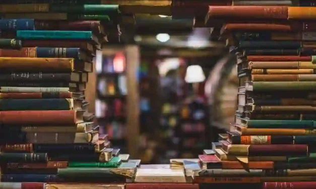 Hybrid Open Access: Nachhaltiges Modell oder teure Zwischenstufe?